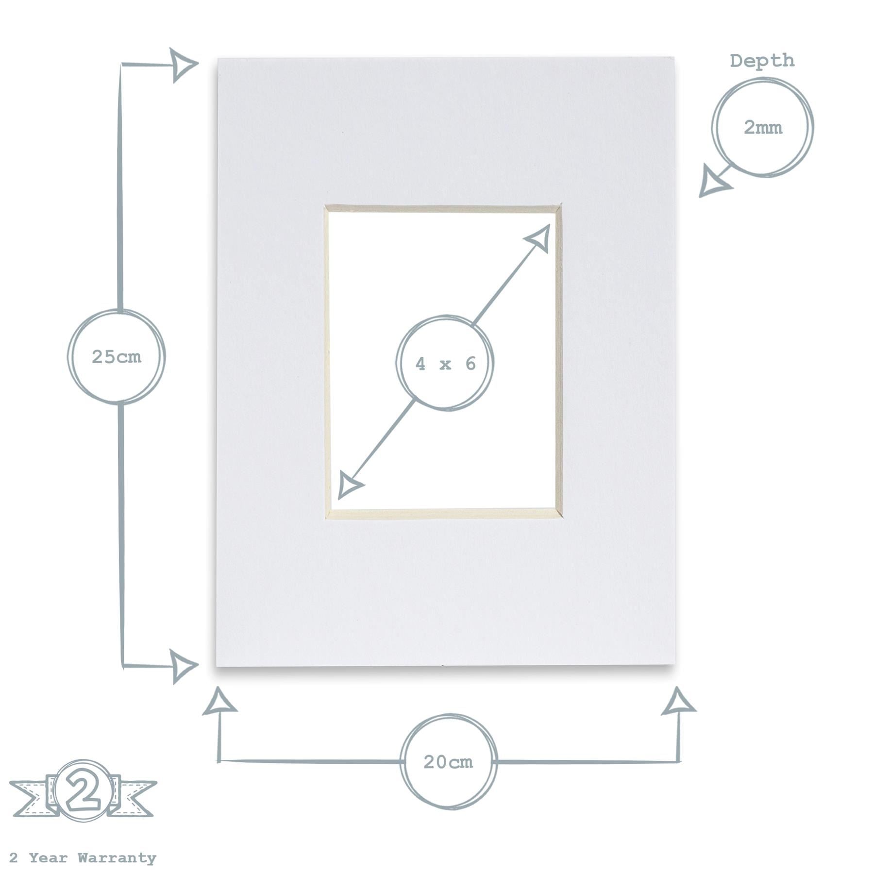 4" x 6" Picture Mount for 8" x 10" Frame
