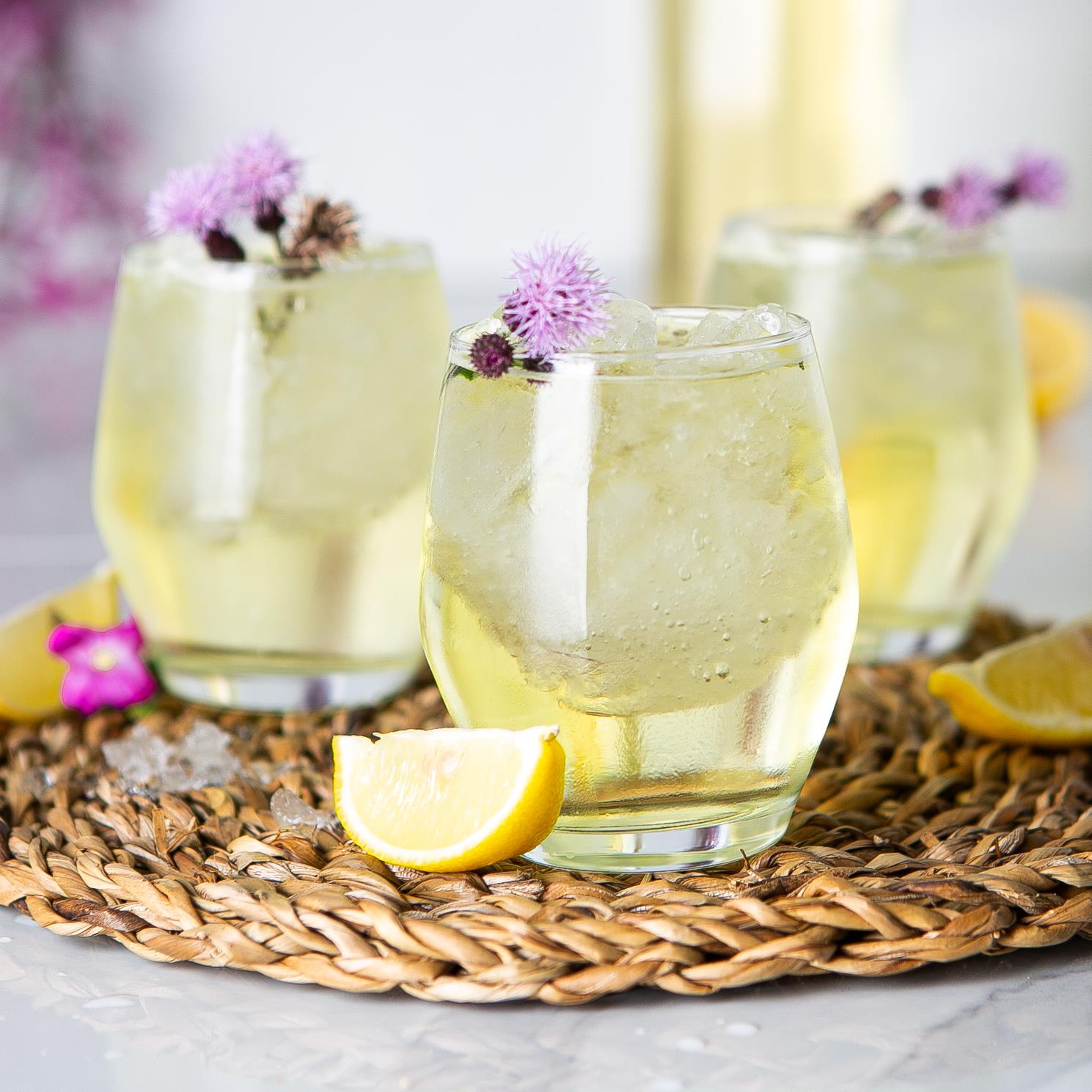 12pc Ella Tumbler & Highball Glasses Set