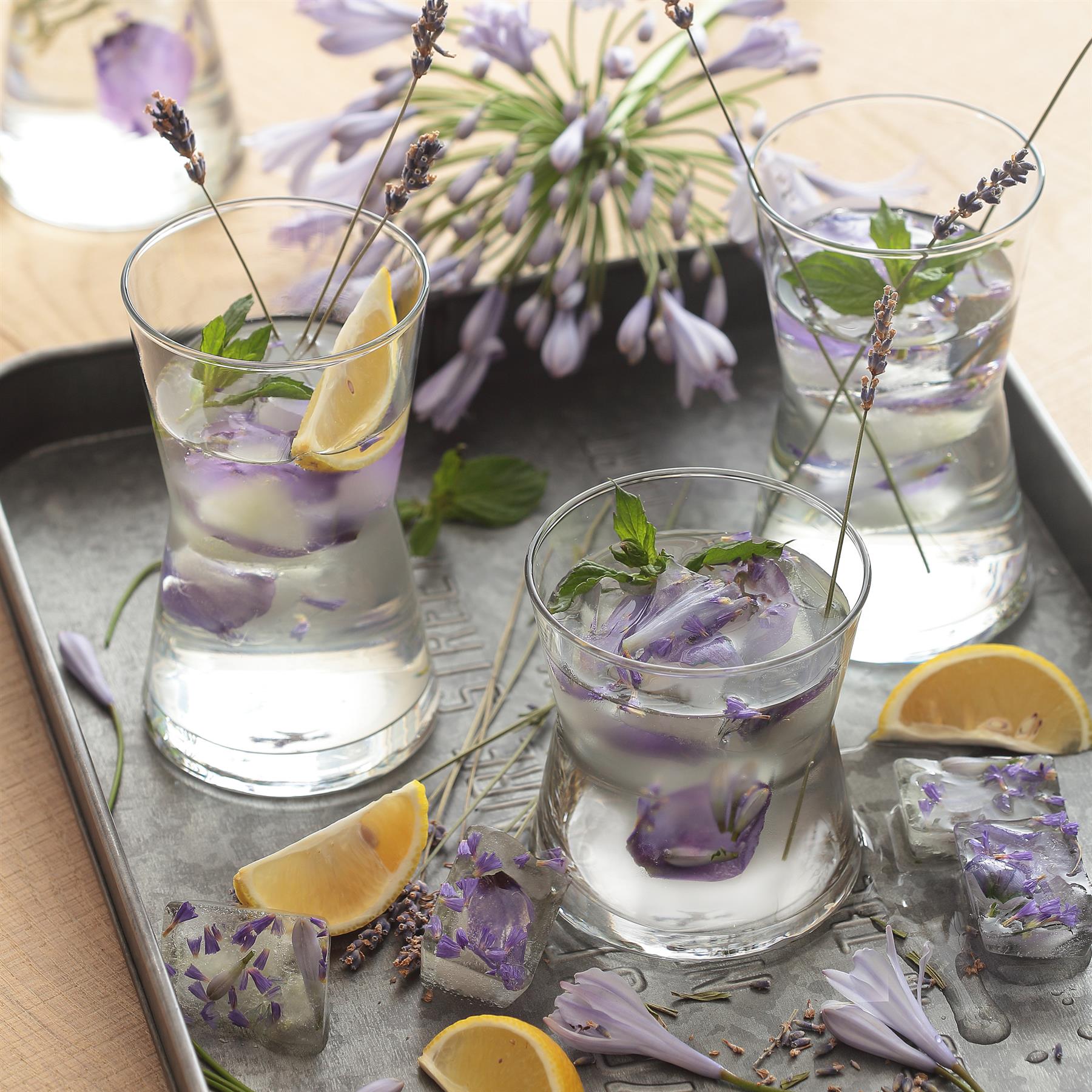 12pc Derin Tumbler & Highball Glasses Set