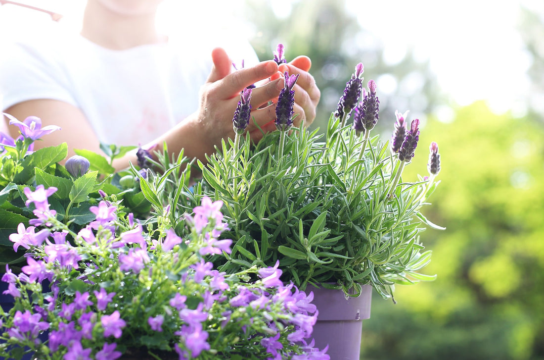 Gardening