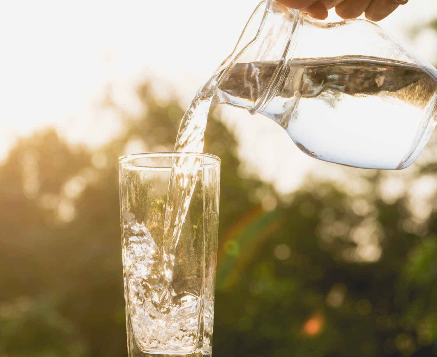 Glass Pitchers &amp; Jugs