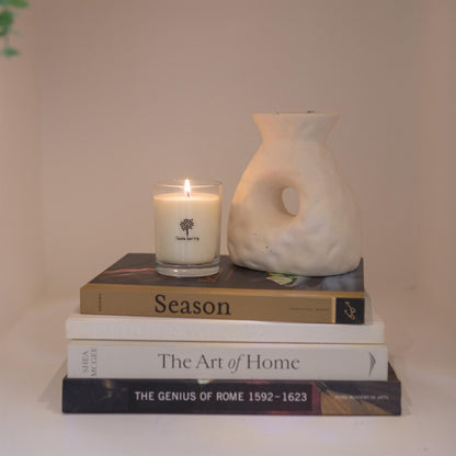 Soy Wax Scented Candle - 160g - Mulled Wine