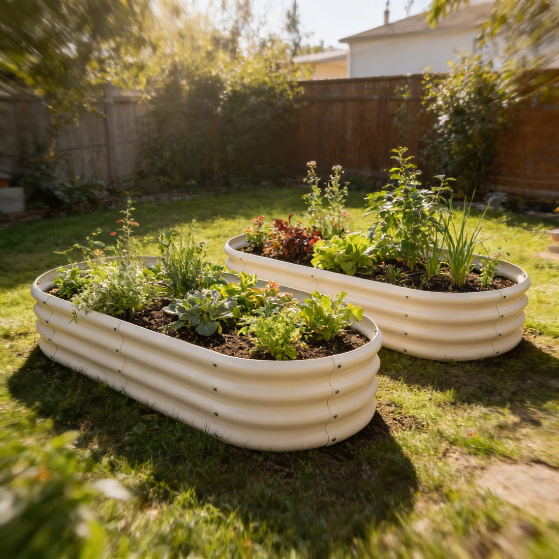 Ivory Rounded Galvanised Steel Raised Garden Bed - 180cm x 90cm