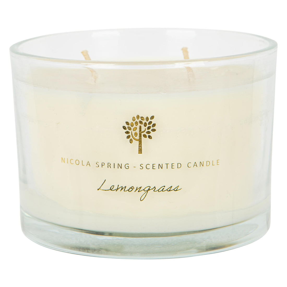 Lemongrass 350g Soy Wax Scented Candle - By Nicola Spring