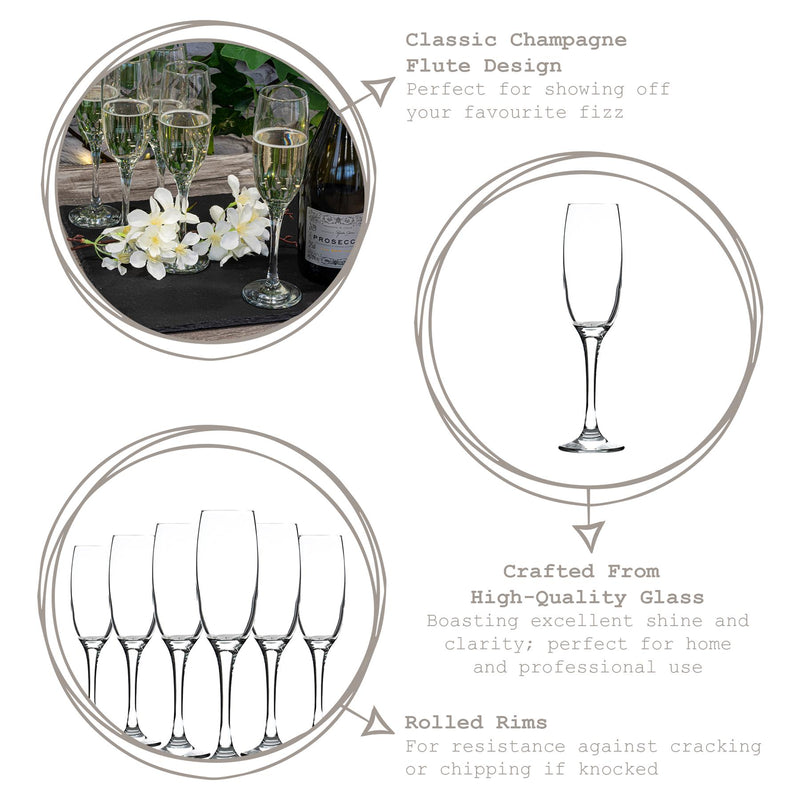 220ml Venue Champagne Flutes - Pack of Six - By LAV
