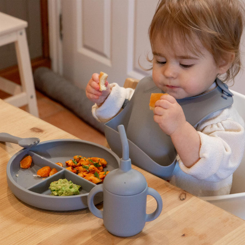Silicone Baby Weaning Bib - By Tiny Dining