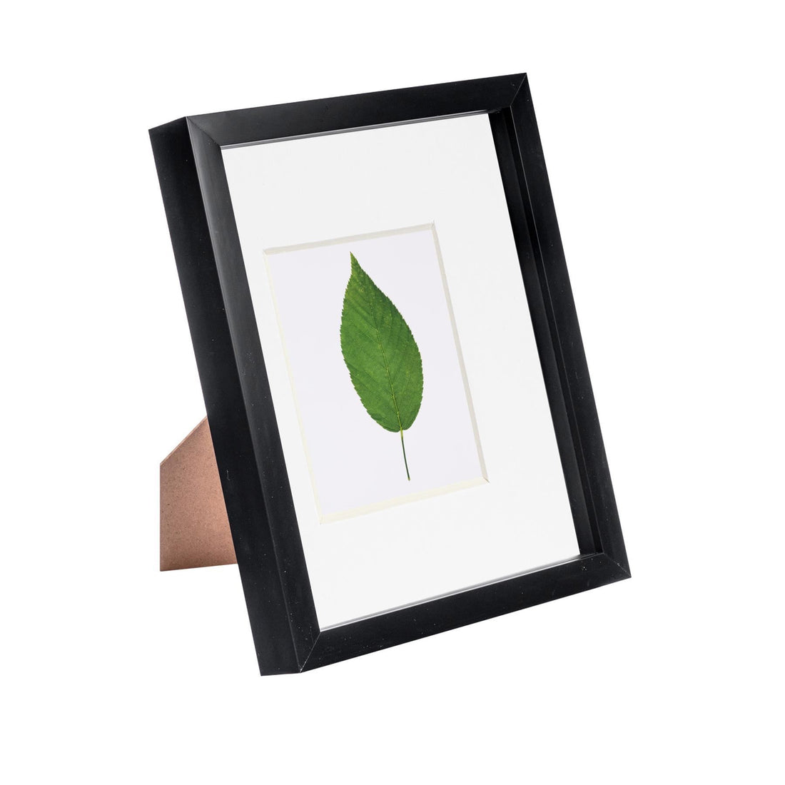 Black 8" x 10" Shadow Box Photo Frame with 4" x 6" White Mount
