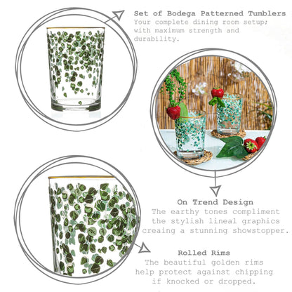 520ml Green Leaf Bodega Highball Glasses - Pack of Six