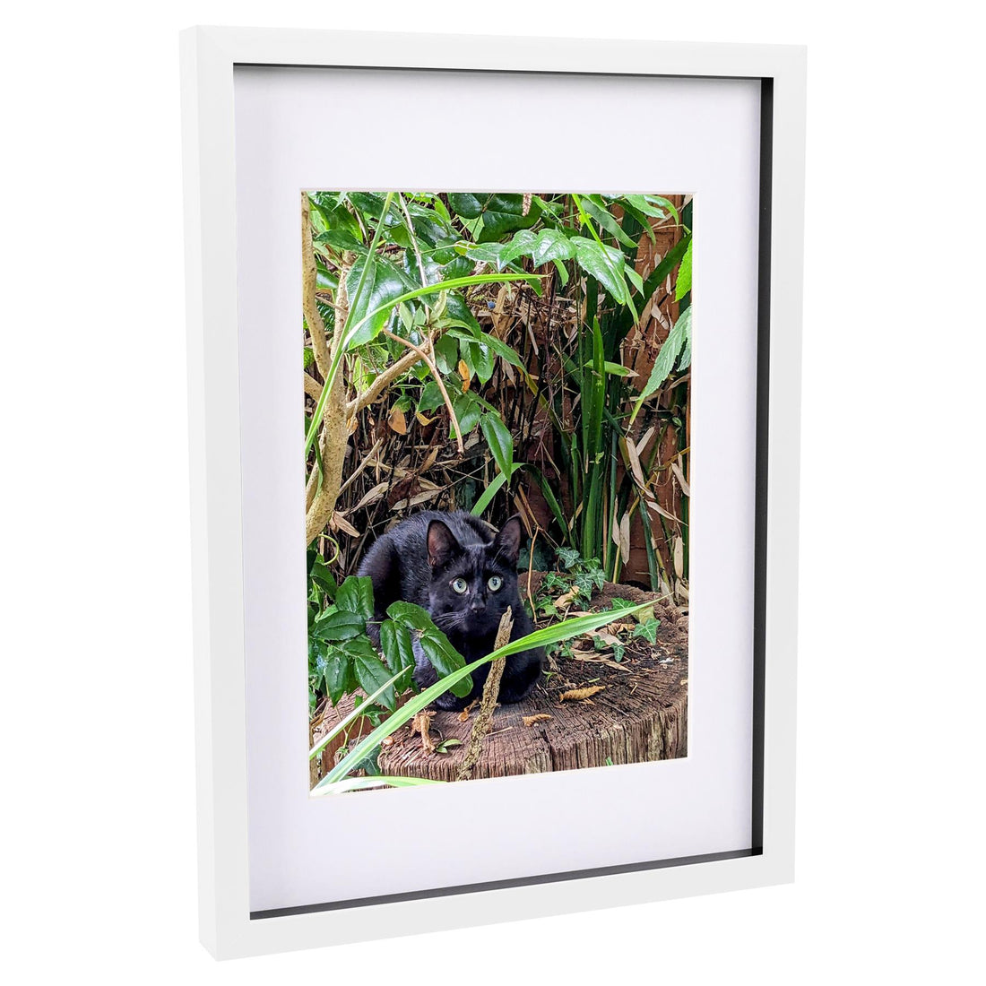 White A3 (12" x 17") Shadow Box Photo Frame with A4 (8" x 12") White Mount