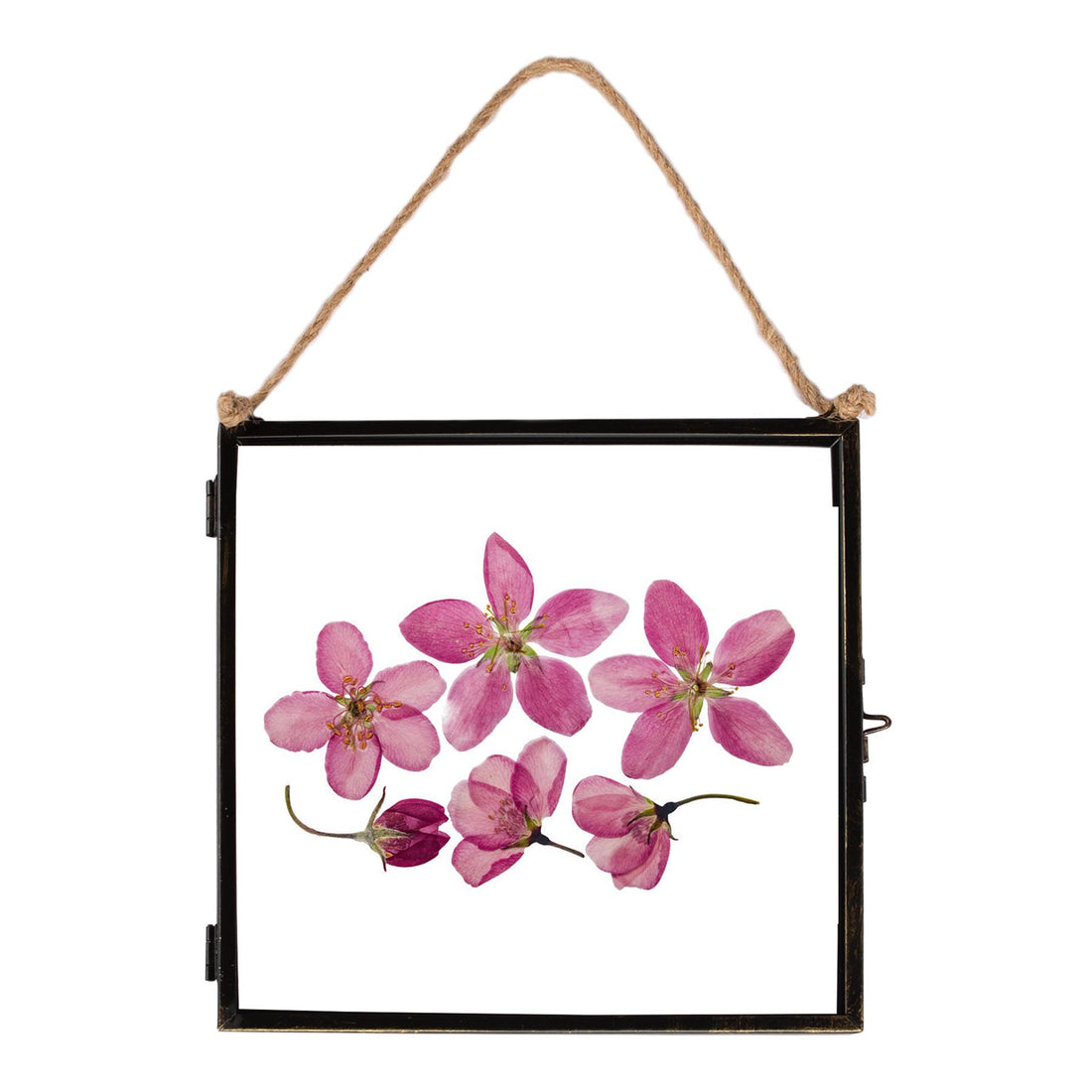 8" x 8" Glass Hanging Photo Frame - By Nicola Spring