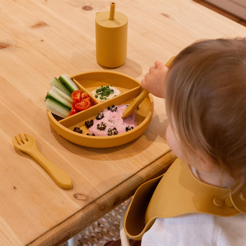 Silicone Divided Baby Suction Plate - By Tiny Dining