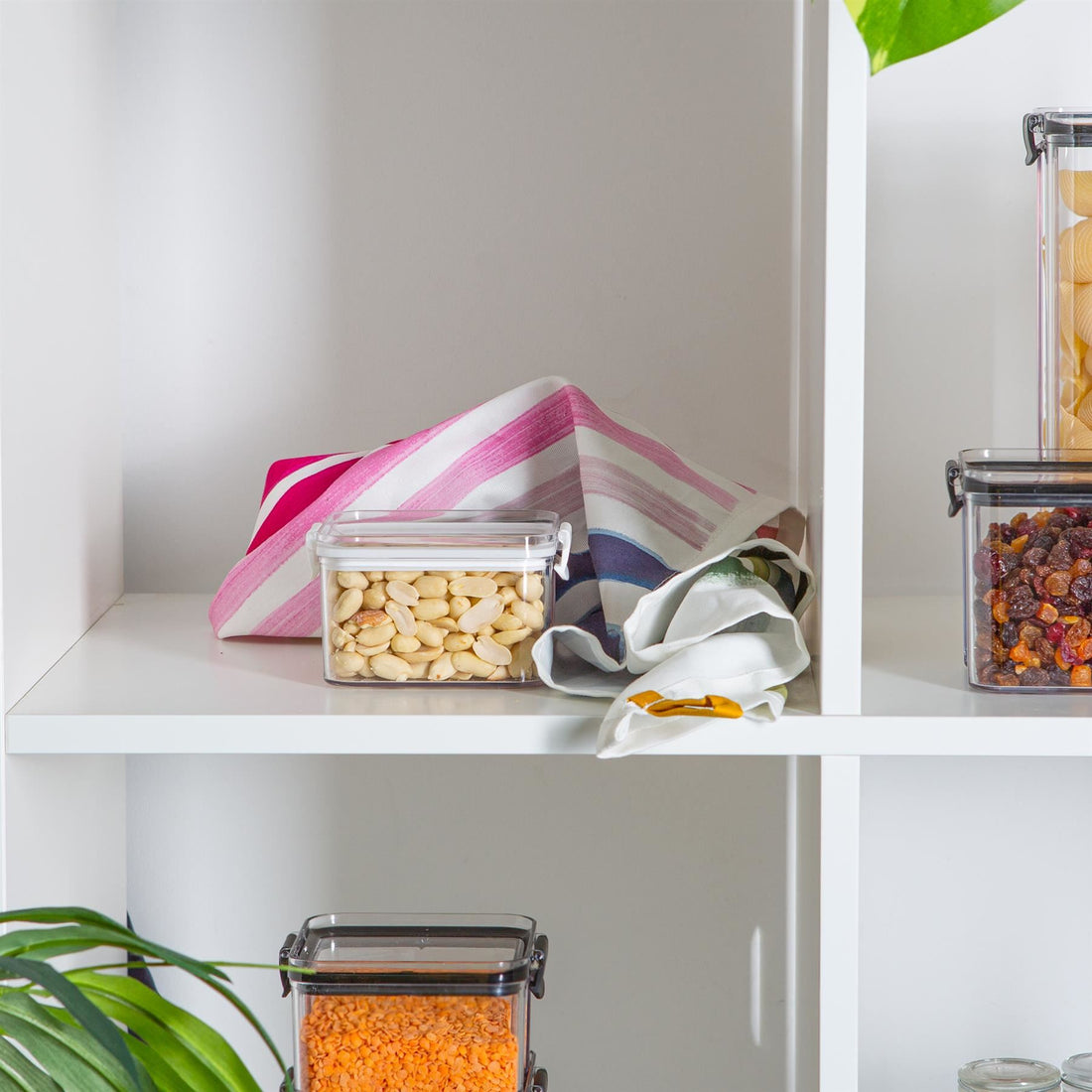460ml Plastic Food Storage Container