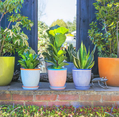 20cm Hand Printed China Plant Pot with Saucer - Pack of Three