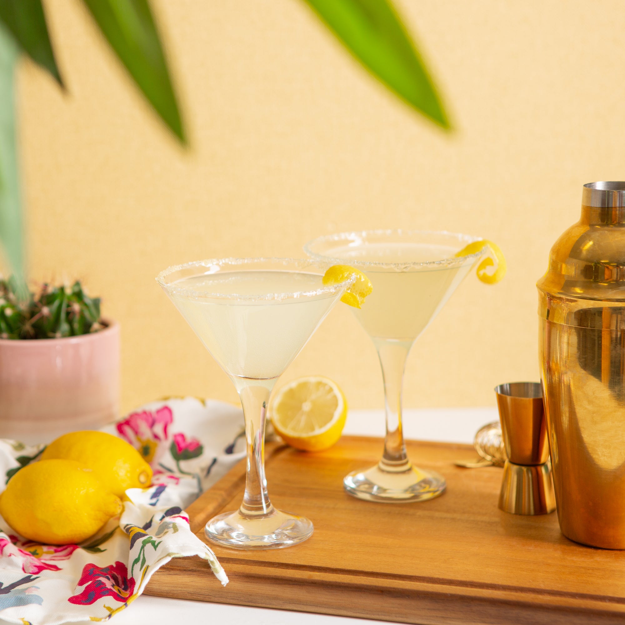 175ml Misket Martini Glasses - Pack of Six