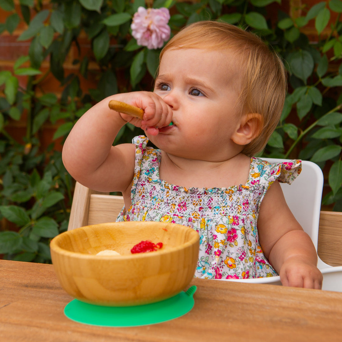 Bamboo Baby Feeding Bowl with Grey Suction Cup